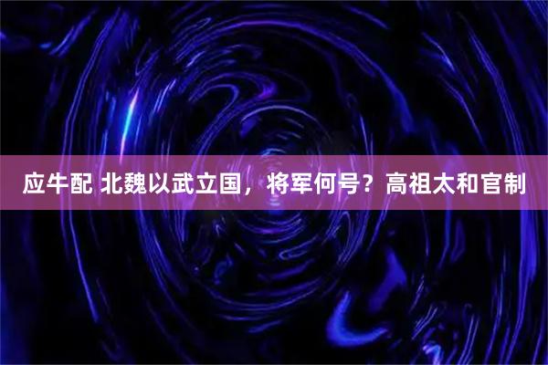 应牛配 北魏以武立国，将军何号？高祖太和官制