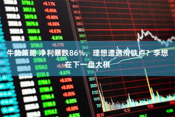 牛势策略 净利暴跌86%，理想遭遇滑铁卢？李想在下一盘大棋