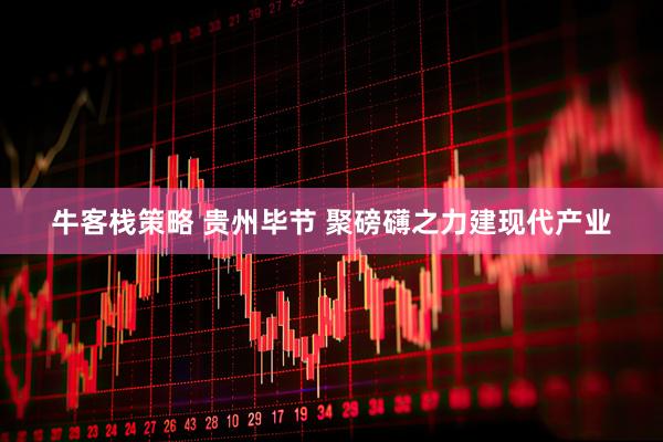 牛客栈策略 贵州毕节 聚磅礴之力建现代产业