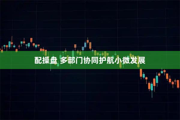 配操盘 多部门协同护航小微发展